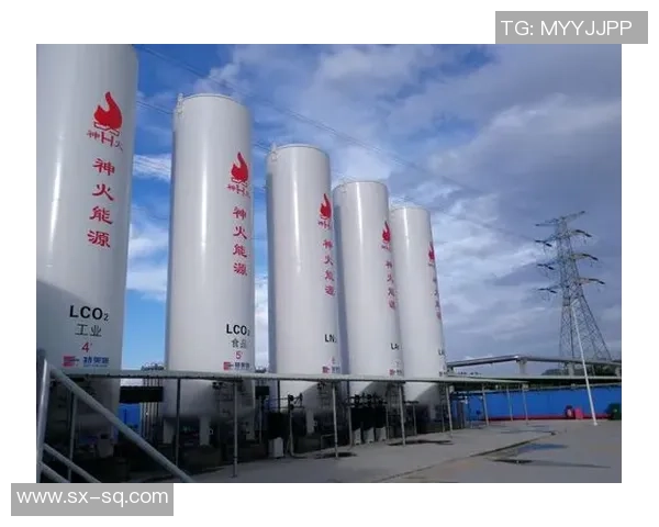 LNG市场竞争策略深度分析与实战经验分享 LNG市场竞争策略深度分析与实战经验分享